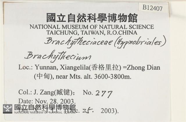 登錄號:B00012407藏品圖，第2張