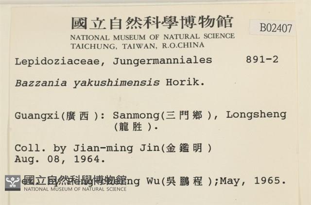 登錄號:B00002407藏品圖，第2張