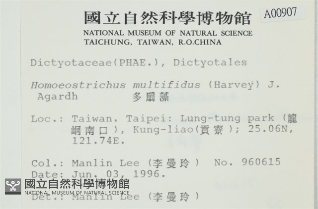 多扇藻藏品圖，第2張