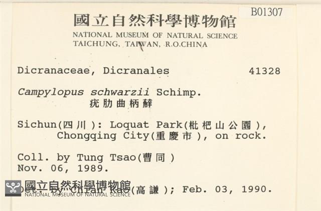 登錄號:B00001307藏品圖，第2張