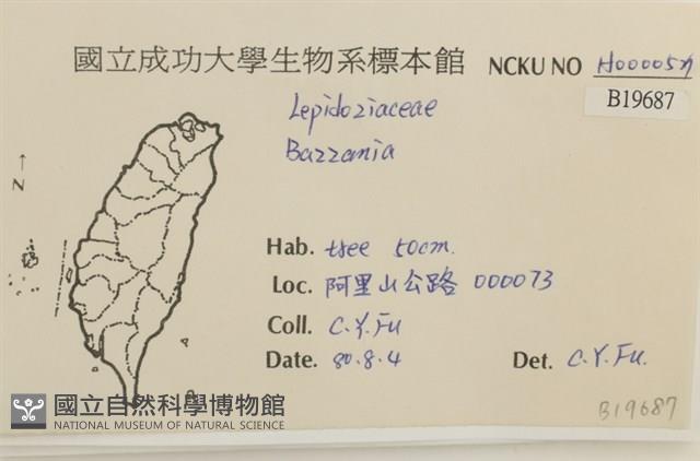 登錄號:B00019687藏品圖，第2張