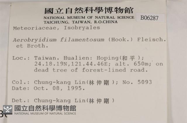 毛扭蘚藏品圖，第2張