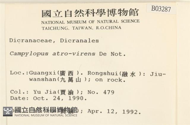 登錄號:B00003287藏品圖，第2張