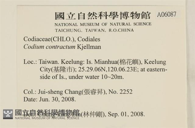 登錄號:A00006087藏品圖，第2張