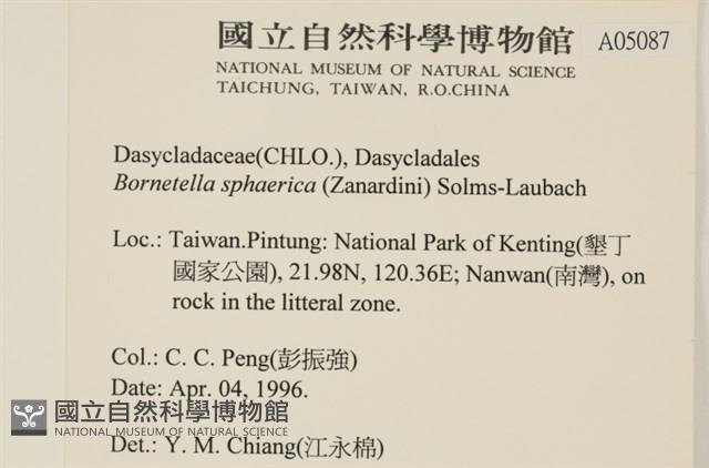 登錄號:A00005087藏品圖，第2張