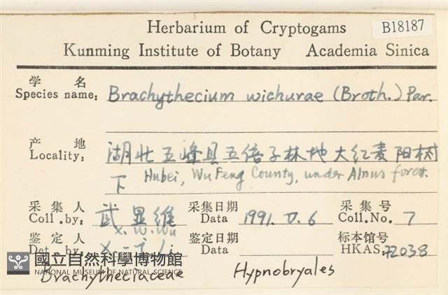 威氏青蘚藏品圖，第2張