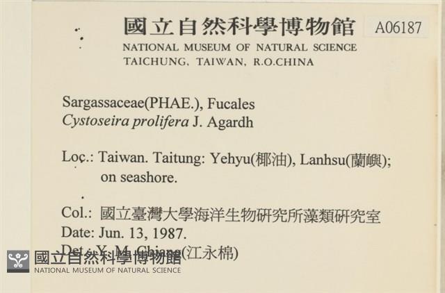 登錄號:A00006187藏品圖，第2張
