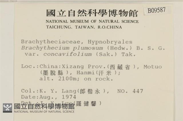 登錄號:B00009587藏品圖，第2張