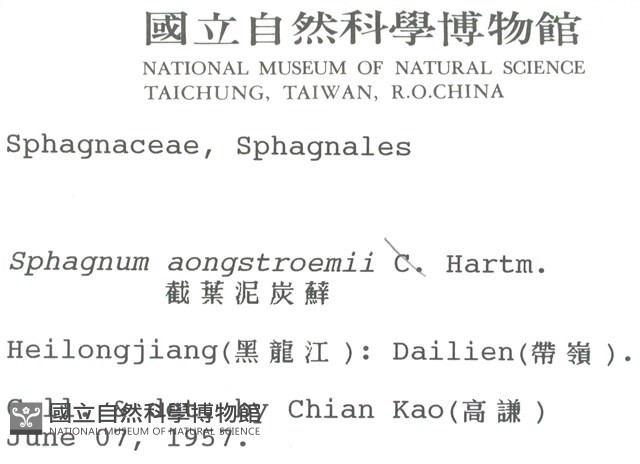 截葉泥炭蘚藏品圖，第2張
