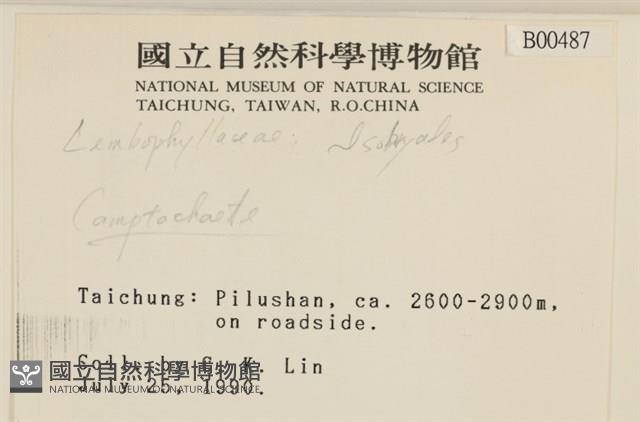 登錄號:B00000487藏品圖，第2張