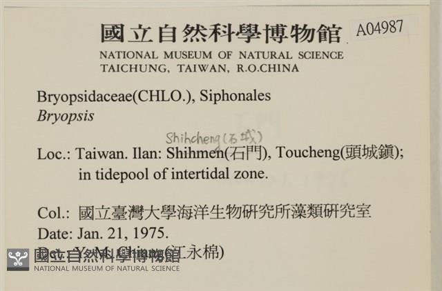 登錄號:A00004987藏品圖，第2張