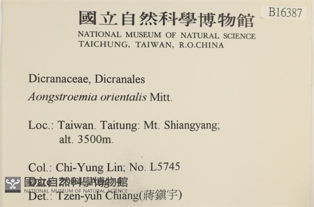 東亞昂氏蘚,東方昂氏蘚藏品圖，第2張