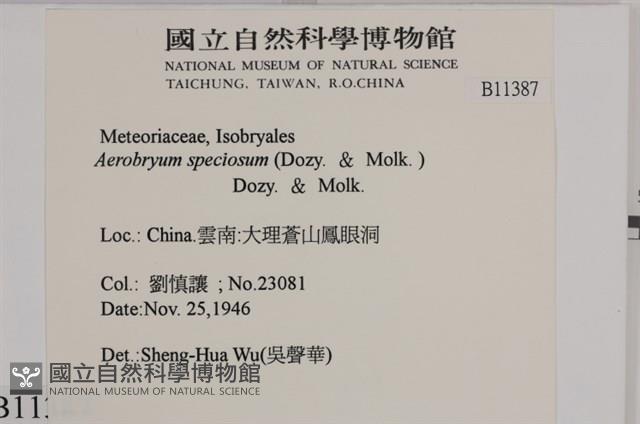 登錄號:B00011387藏品圖，第2張