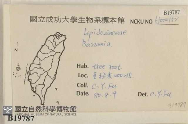 登錄號:B00019787藏品圖，第2張