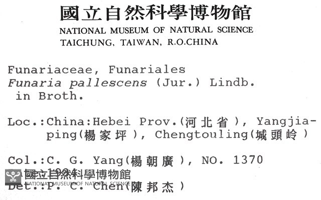 登錄號:B00009787藏品圖，第2張