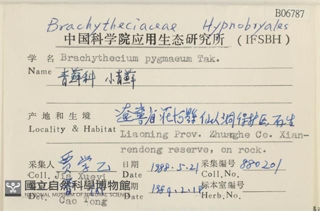 小青蘚藏品圖，第2張