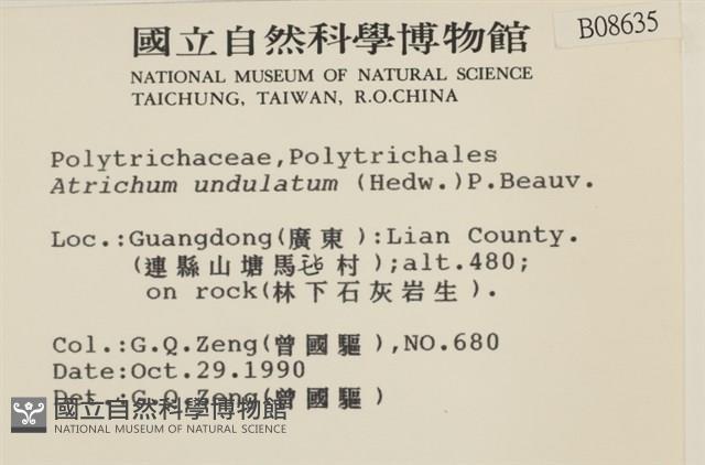 仙鶴蘚藏品圖，第2張