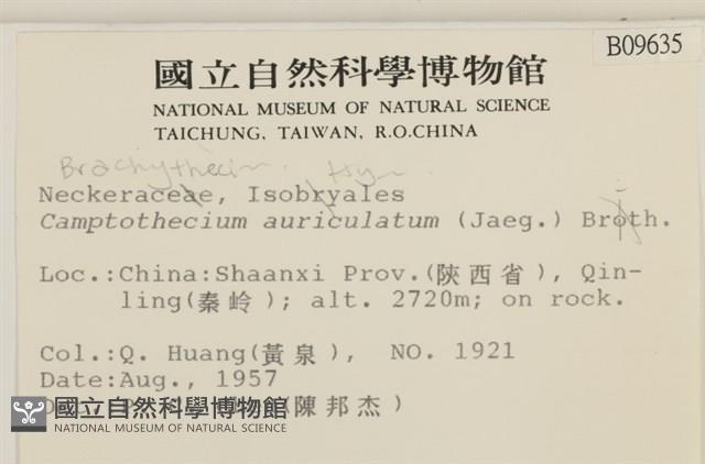 登錄號:B00009635藏品圖，第2張