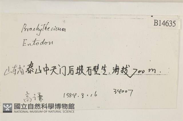 登錄號:B00014635藏品圖，第2張