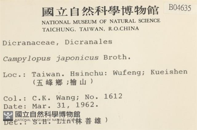 日本曲柄蘚藏品圖，第2張