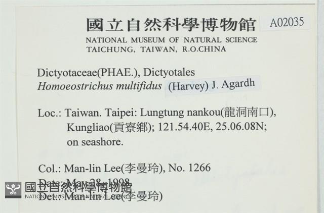 多扇藻藏品圖，第2張