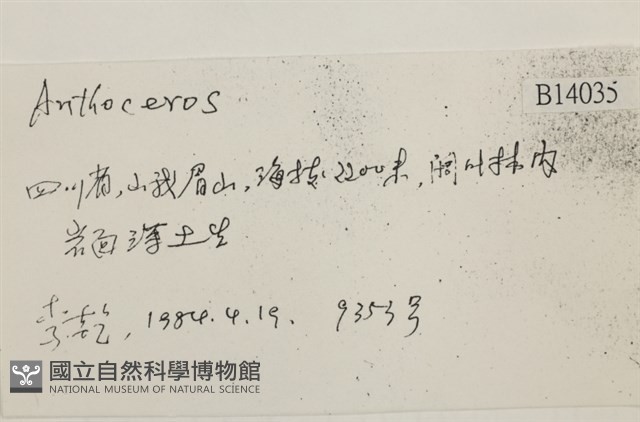 登錄號:B00014035藏品圖，第2張