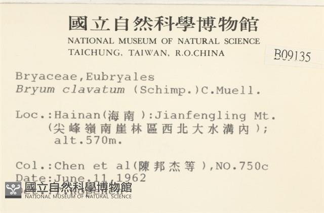 登錄號:B00009135藏品圖，第2張