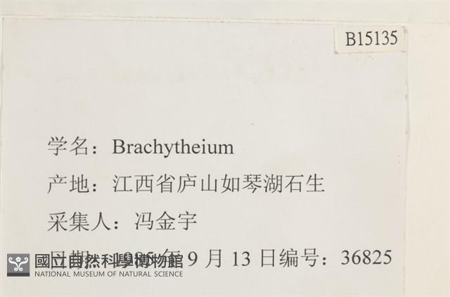 登錄號:B00015135藏品圖，第2張