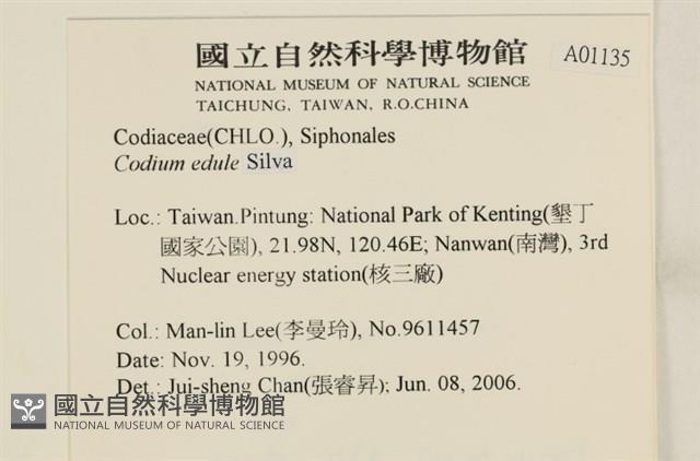 登錄號:A00001135藏品圖，第2張