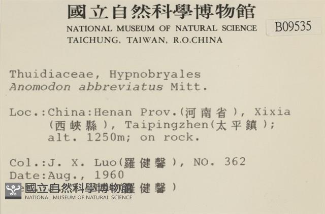 登錄號:B00009535藏品圖，第2張