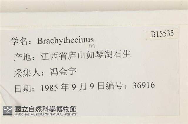 登錄號:B00015535藏品圖，第2張