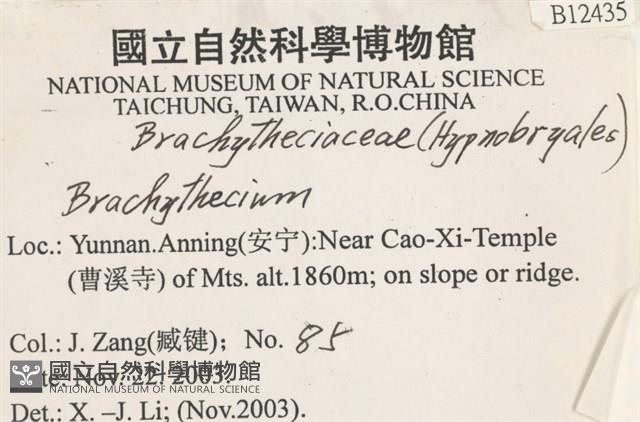 登錄號:B00012435藏品圖，第2張