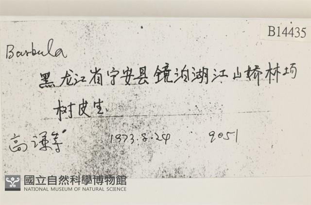 登錄號:B00014435藏品圖，第2張