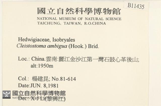 蔓枝蘚藏品圖，第2張