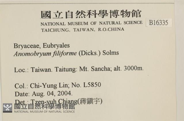 登錄號:B00016335藏品圖，第2張