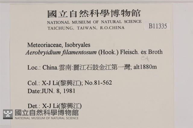 毛扭蘚藏品圖，第2張