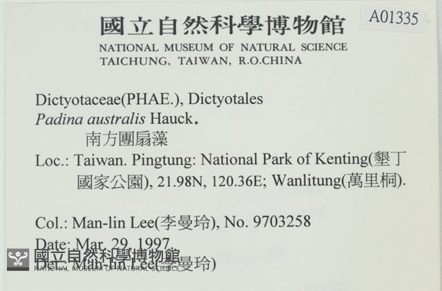 南方團扇藻藏品圖，第2張