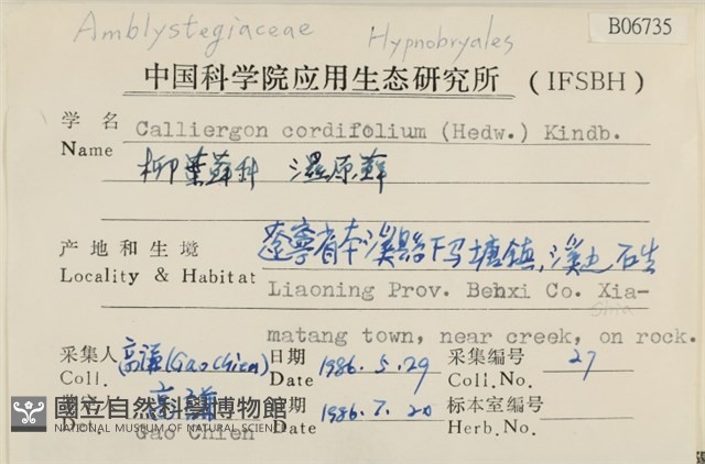 濕原蘚藏品圖，第2張
