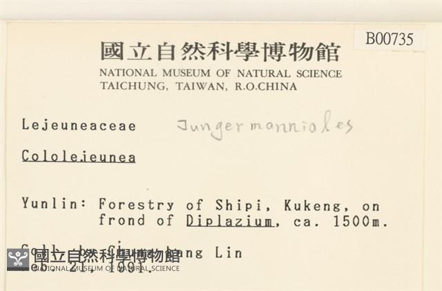 登錄號:B00000735藏品圖，第2張