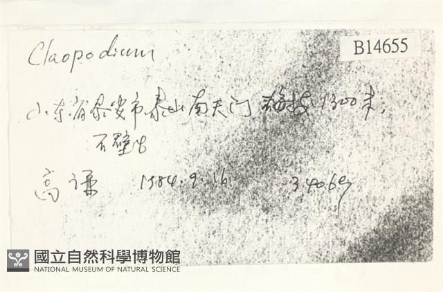 登錄號:B00014655藏品圖，第2張