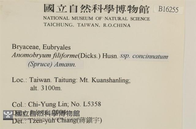 登錄號:B00016255藏品圖，第2張