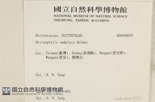 登錄號:A00008055藏品圖，第2張