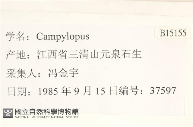 登錄號:B00015155藏品圖，第2張