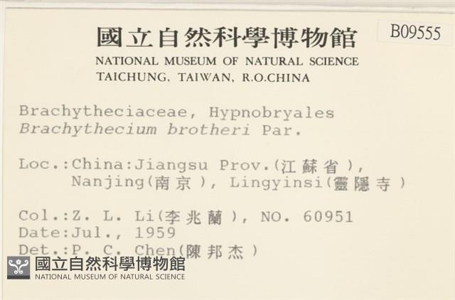 勃氏青蘚藏品圖，第2張