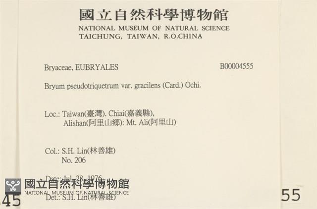 登錄號:B00004555藏品圖，第2張