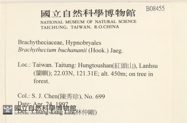 細枝青蘚藏品圖，第2張