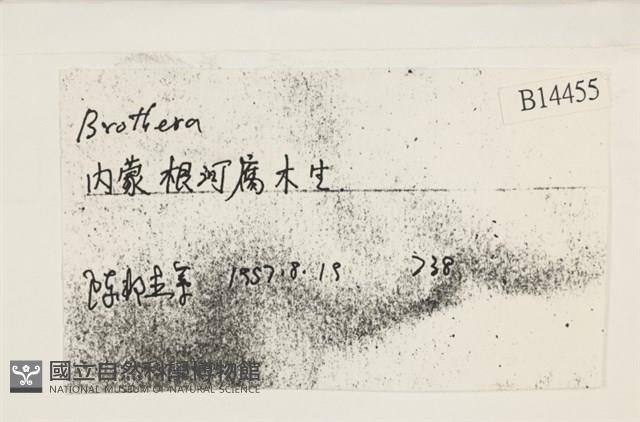 登錄號:B00014455藏品圖，第2張