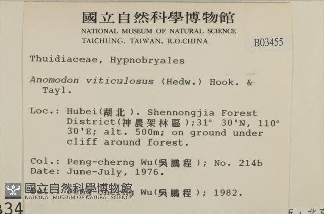 登錄號:B00003455藏品圖，第2張