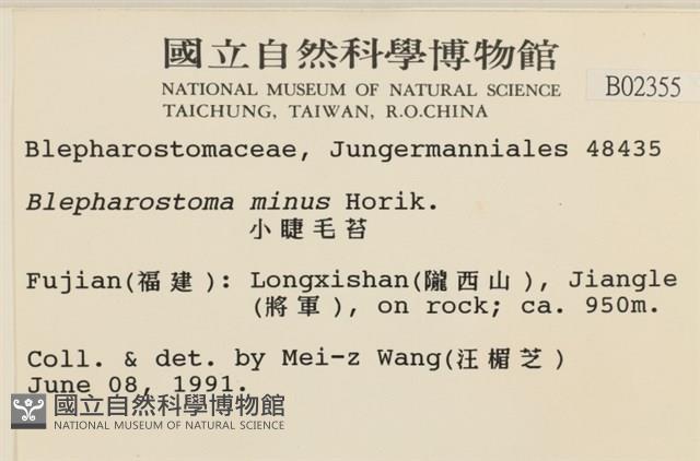 小睫毛苔藏品圖，第2張