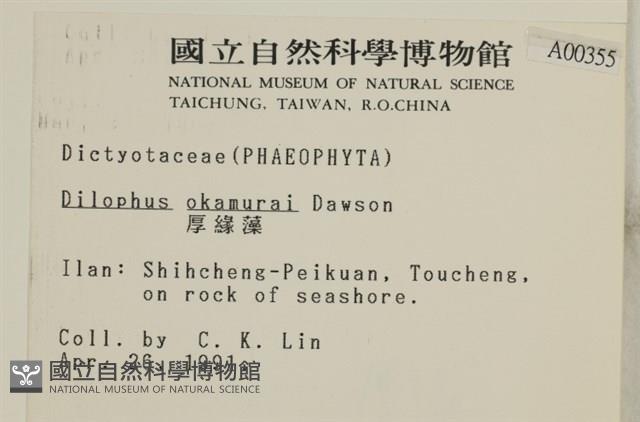 厚緣藻藏品圖，第2張